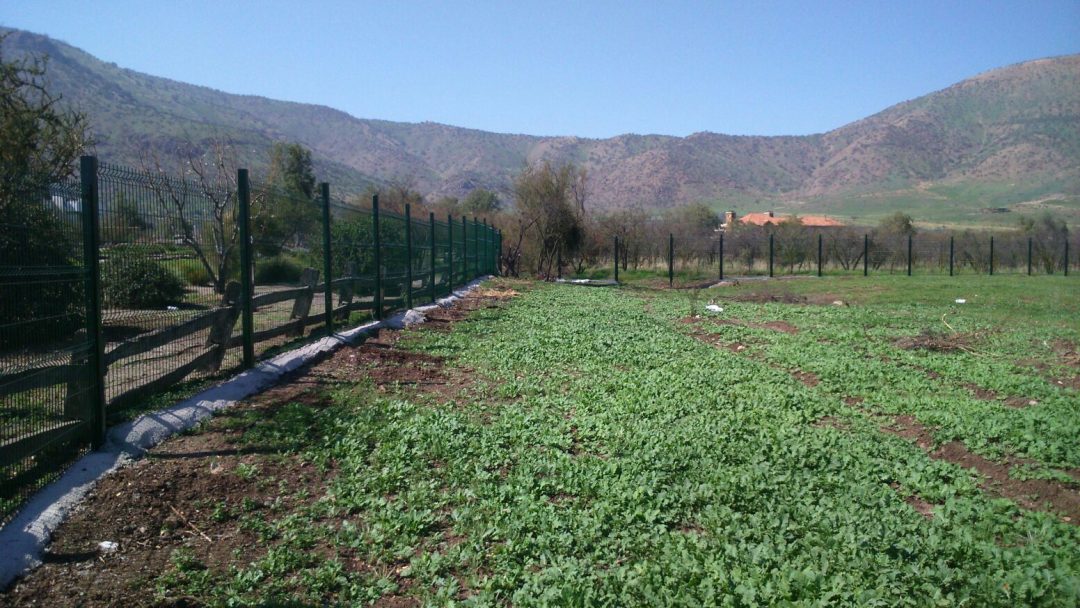 Cierre Perimetral sector Chicureo