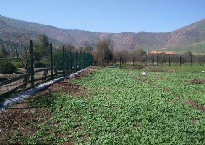 Cierre Perimetral sector Chicureo